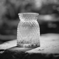 P1017289-(Glass-Vase)-web