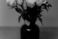 roses-vase-web